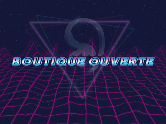 Ouverture du magasin Chifi Audio France